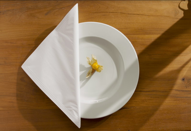 Guardanapo de Papel Clássico